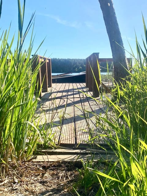 Lake view
