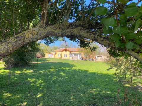Property building, Natural landscape, Garden, Garden view
