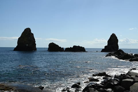 Natural landscape