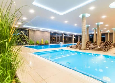 Pool view, Swimming pool, sunbed