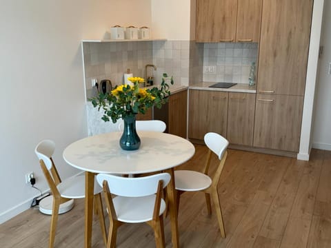 Apartament Przystań 1 Apartment in Pomeranian Voivodeship