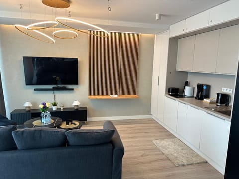 Kitchen or kitchenette, Living room