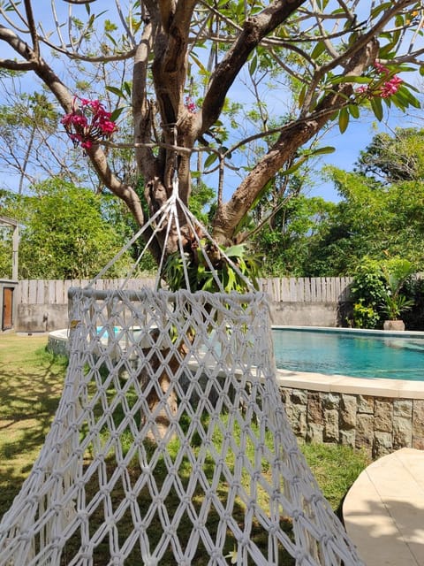 Garden, Swimming pool