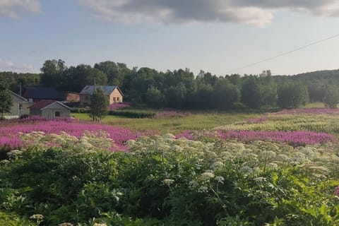 Natural landscape, Garden