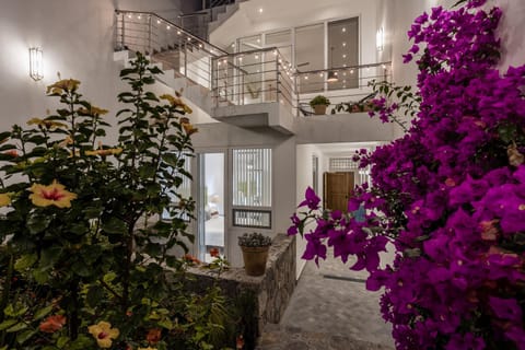 Patio, Garden, Garden view, Inner courtyard view