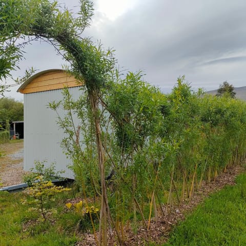 Dingle Way Glamping DANÚ Annascaul Campground/ 
RV Resort in County Kerry