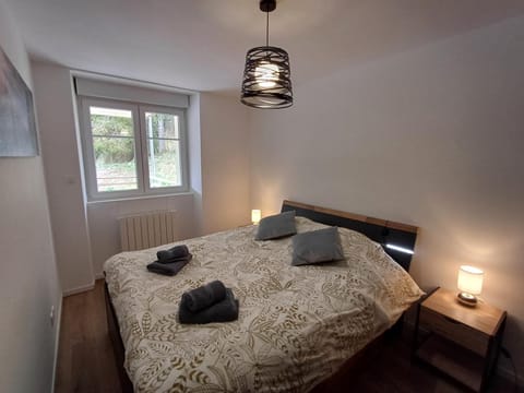 Agréable 3 pièces au Lac Blanc Apartment in Orbey