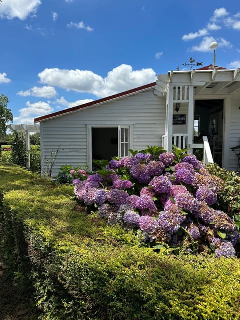 Property building, Garden, Garden view
