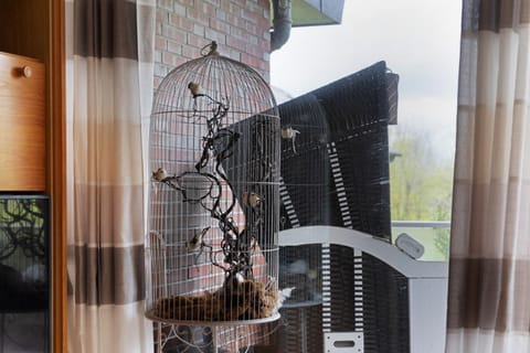 Apartment Seeadler Apartment in Butjadingen