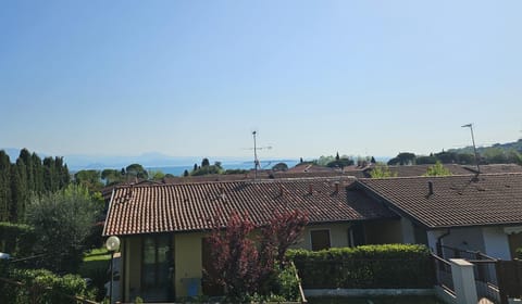 Lake view