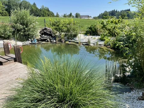 Casa Tapeo House in Carinthia, Austria