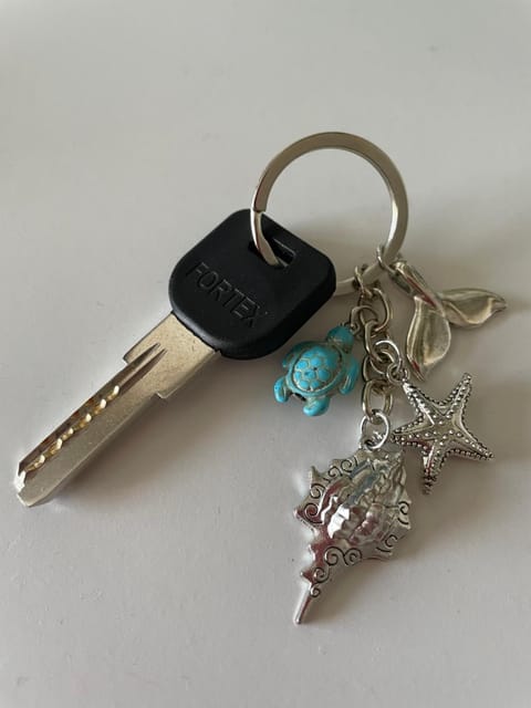 Jaukus 2 kambarių butas Preiloje Apartment in Klaipėda County, Lithuania