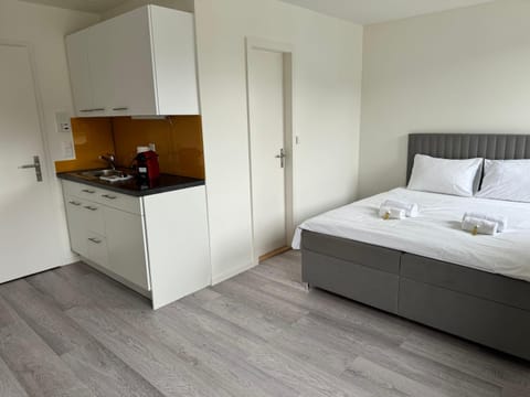 Urban Oasis with Queen Bed and View BE-54 Apartment in Zurich City