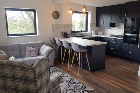 Hogan's Cottage House in County Clare