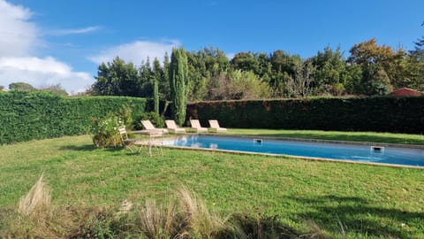 Natural landscape, Garden, Garden view, Pool view, Swimming pool, sunbed
