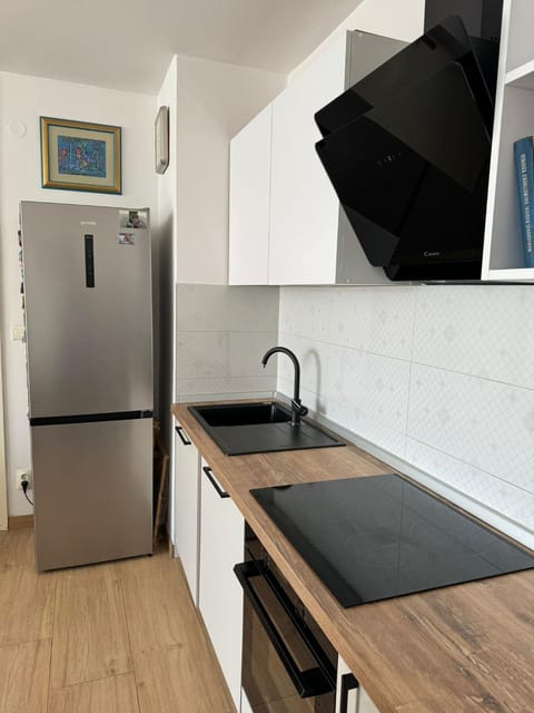 Kitchen or kitchenette, dishwasher, stove