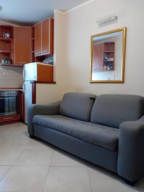 Living room, pet friendly