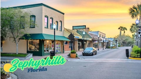 Sky House House in Zephyrhills