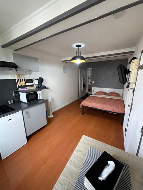 Bed, Kitchen or kitchenette, Photo of the whole room, Bedroom, minibar, stove