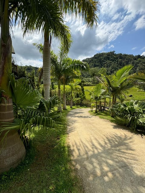 Natural landscape