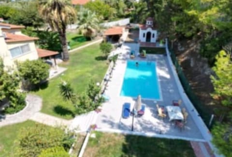 Garden, Swimming pool, sunbed