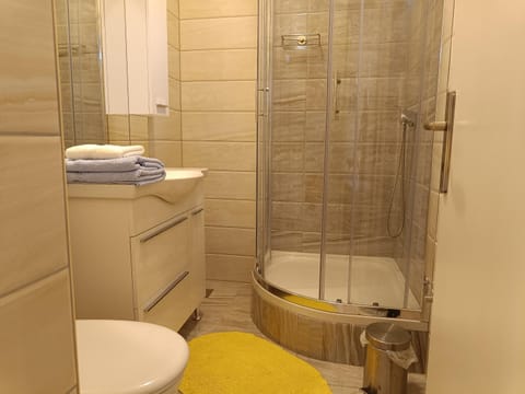 Shower, Toilet, Bathroom, towels