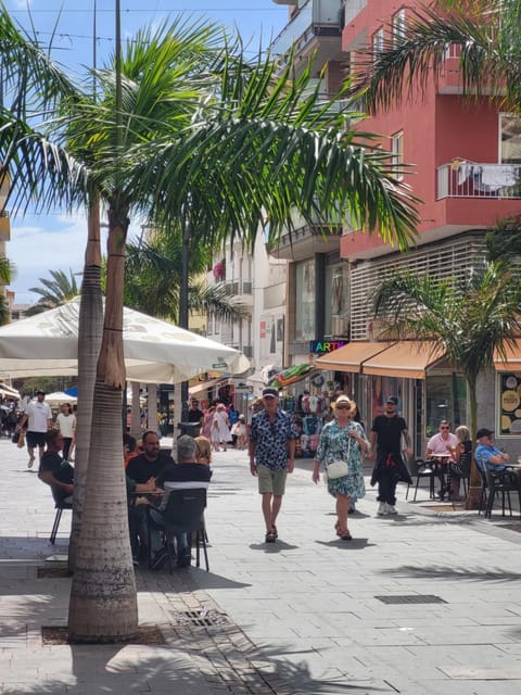 Day, Neighbourhood, Street view