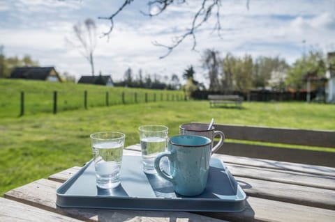 Strandnahe Fewo 4 Apartment in Mecklenburg-Vorpommern, Germany