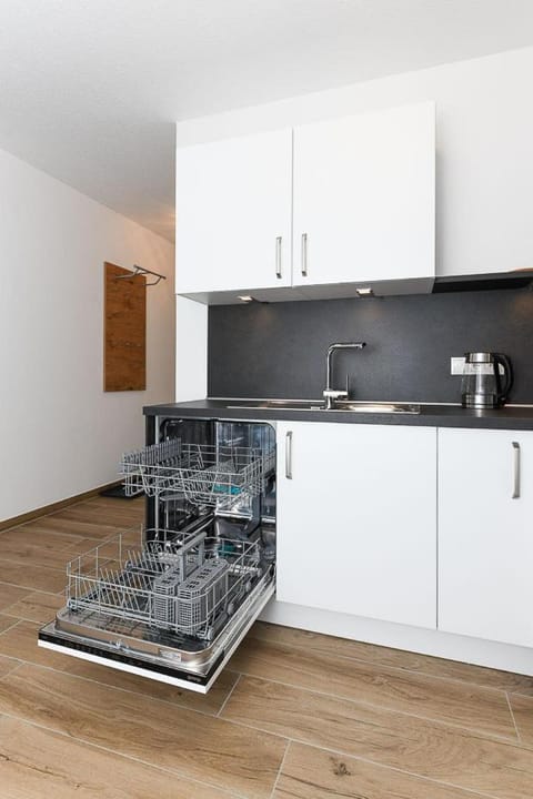 Kitchen or kitchenette, dishwasher