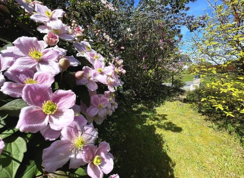 Maison Ty Losquet Bed and Breakfast in Plouha