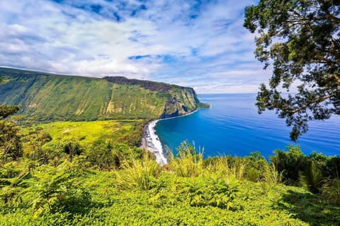 Natural landscape