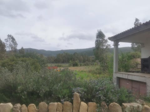 Natural landscape, Garden, Garden view, Mountain view