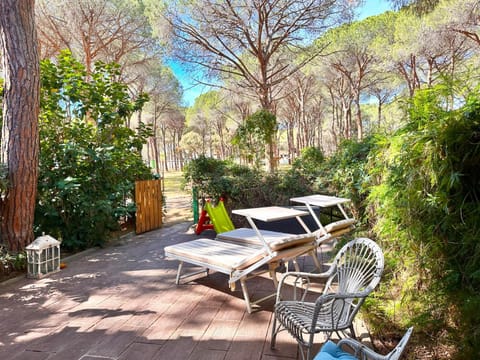 Garden, Garden view