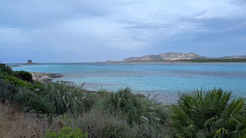 Day, Natural landscape, Beach, Sea view