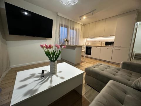 TV and multimedia, Living room, Seating area, Dining area, Evening entertainment