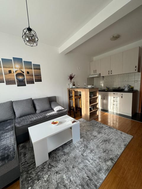 Studio29 Apartment in Vojvodina