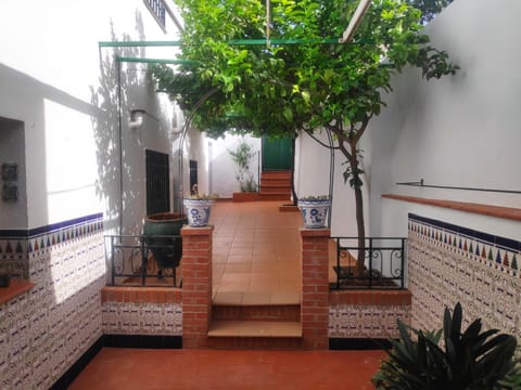 Garden, Inner courtyard view
