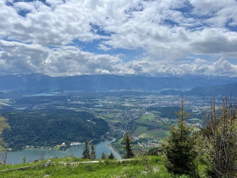 Lake view