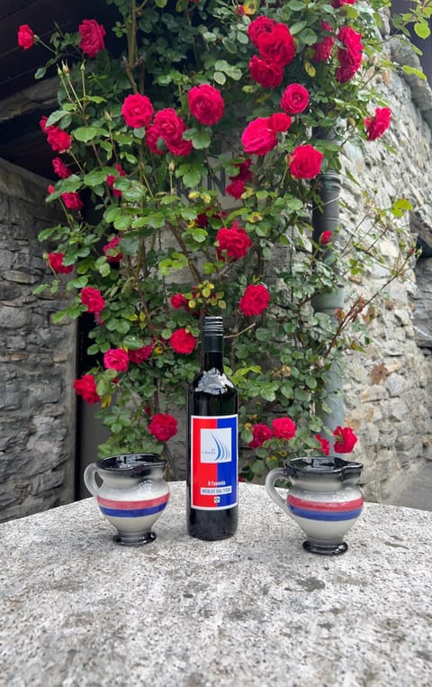 Rustico Efrina, neu renoviert House in Canton of Ticino