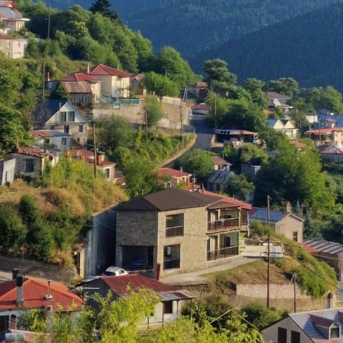 Property building, Bird's eye view, Mountain view