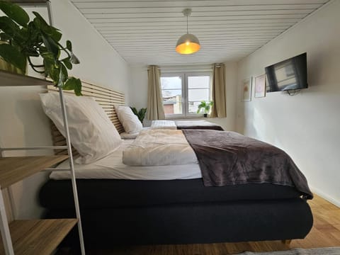 Bed, TV and multimedia, Seating area, towels, laundry