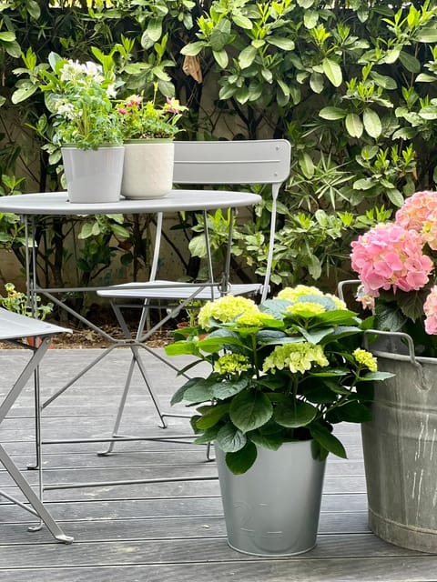 Patio, Garden, Garden view
