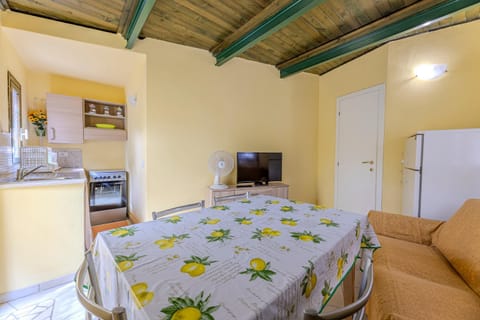 Communal lounge/ TV room, TV and multimedia, Kitchen or kitchenette, Seating area, Dining area, Evening entertainment, oven