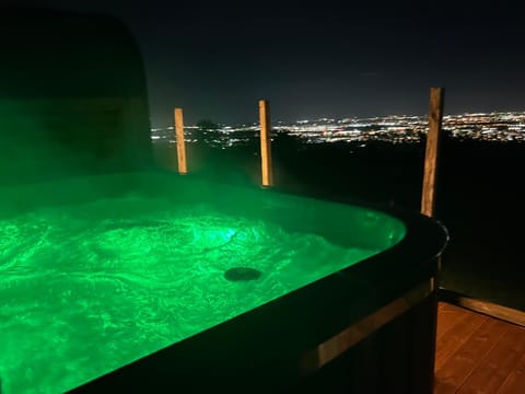 Sky gazer cabin in the woods Cabin in Dublin