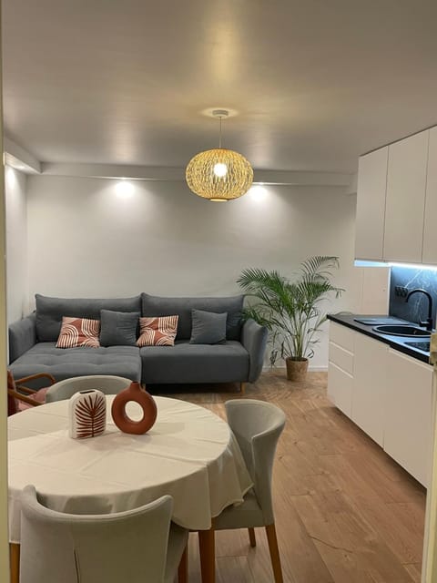 T3 Aperçu Mer Apartment in Antibes