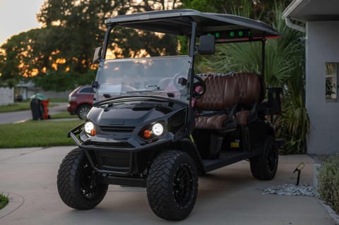 Outdoor oasis Golf cart 5mi to Beach House in Gulfport