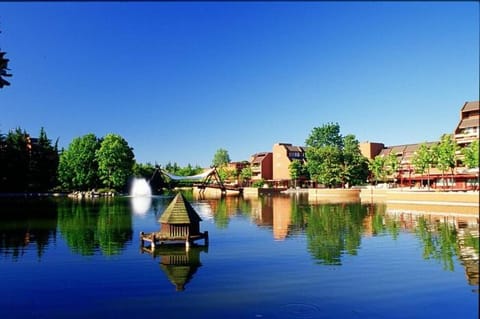 Lake view