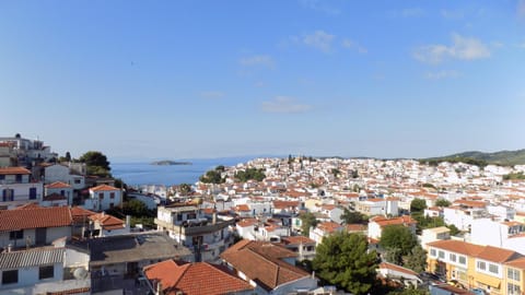 Nearby landmark, Day, Bird's eye view, City view, Mountain view, Sea view