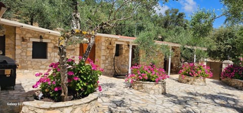 Property building, Spring, Day, Garden