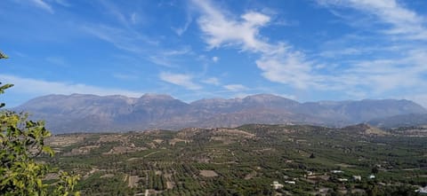 Garden, Landmark view